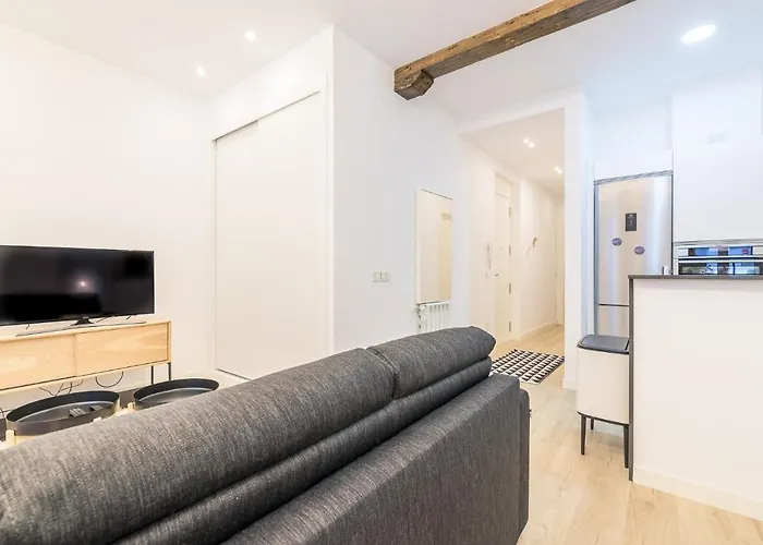 Paris La Concha - Ib Apartment San Sebastian